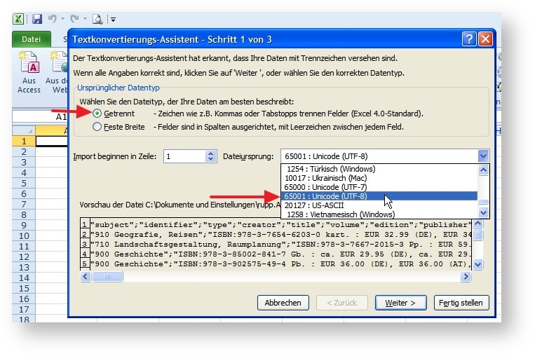 Screenshot von Schritt 1 des Textkonvertierungsassistenten in Microsoft Excel. Wählen Sie unter „Ursprünglicher Dateityp“ die Option „Getrennt“, als „Dateiursprung“ die Option „65001: Unicode (UTF-8) aus.
